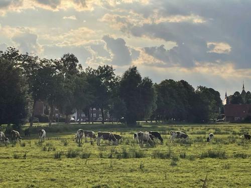 Apartamento Ferienwohnung Kramer 25569