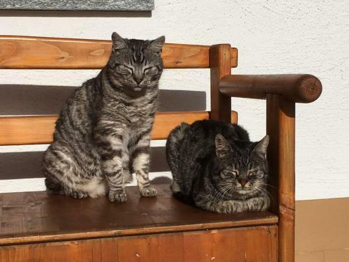 Apartamento Biohof Wimmer
