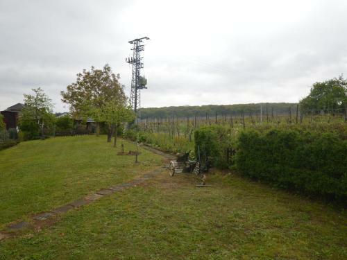 Spacious Apartment In Palzem Near River Moselle