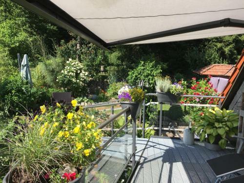 Apartamento Ferienwohnung Wildenreuth