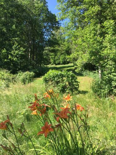 Apartamento Ferienwohnung Wildenreuth
