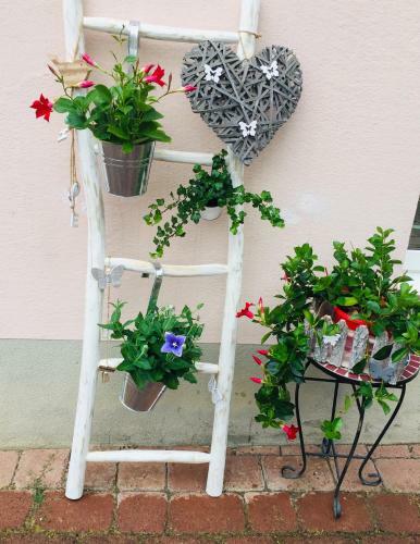 Apartamento Ferienwohnung Marina