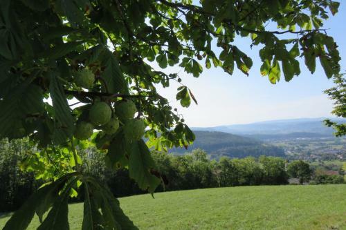 Apartamento Haus Morgensonne