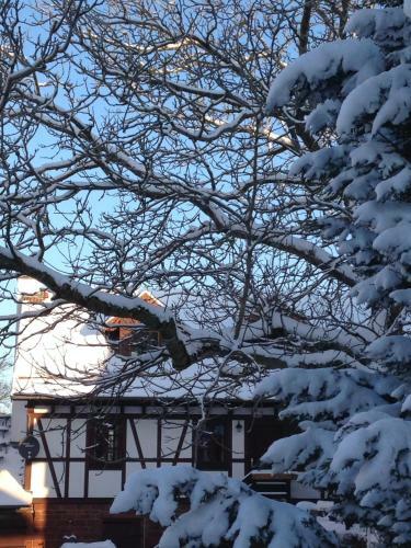 Ferienhaus Annabell