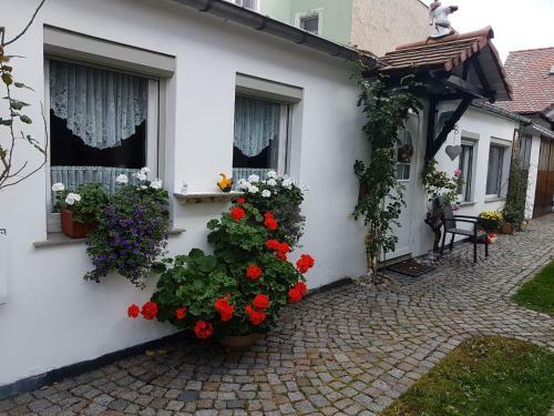 Apartamento Ferienwohnung Heyne