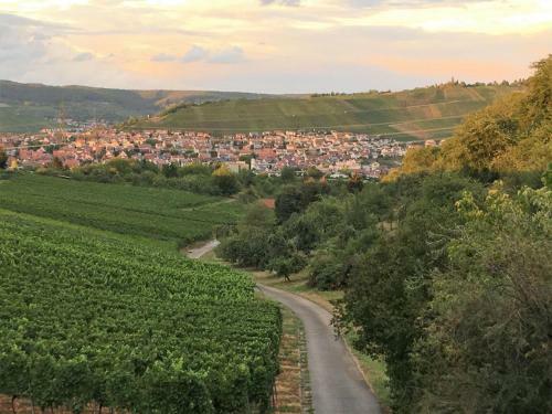 Apartamento Ferienwohnungen Weinstadt
