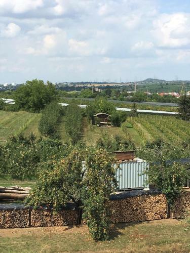 Apartamento Ferienwohnungen Weinstadt