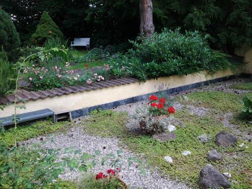 Apartamento Seebach Vermietung
