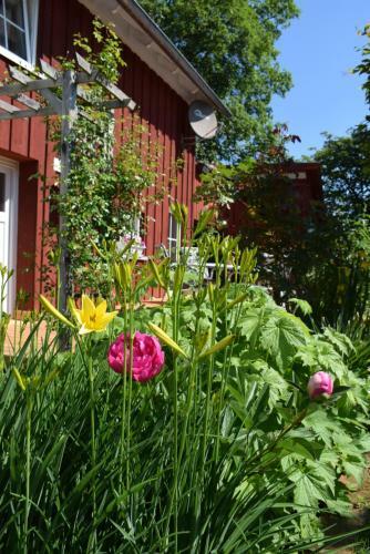 Apartamento Ferienwohnungen Dornr�schen