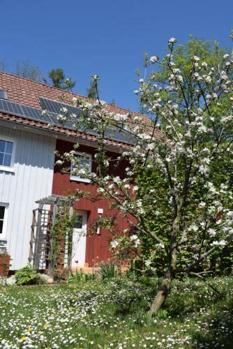 Apartamento Ferienwohnungen Dornr�schen