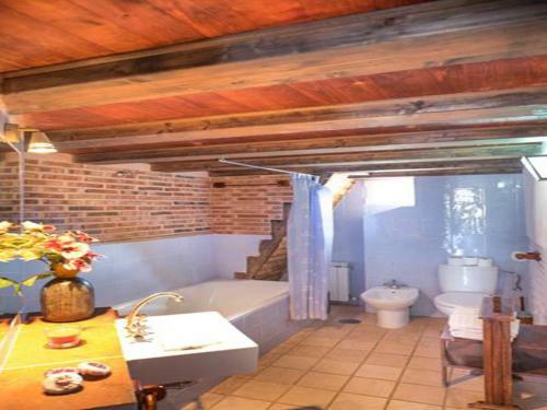 Apartamento Roqueo De Chavela