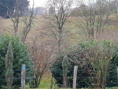Apartamento Susi"s Ferienwohnungen