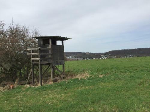 Apartamento App. Web Appartement Westerburg