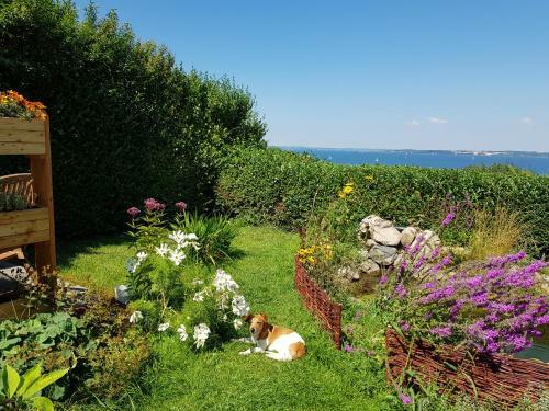 Natur Lodge Haffblick