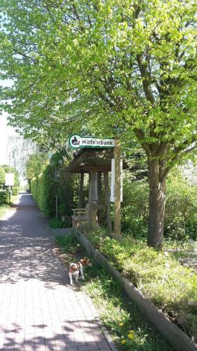 Natur Lodge Haffblick