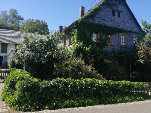 Atelier Am Nationalpark