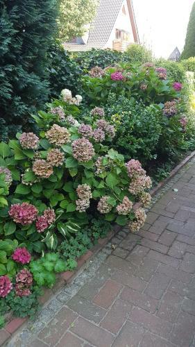 Apartamento Stylisches Garden Cottage