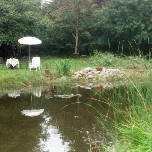 Bed & Breakfast Zimmer Mit Gartenblick