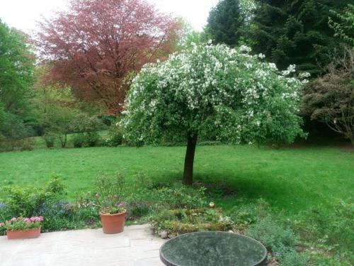 Bed & Breakfast Zimmer Mit Gartenblick