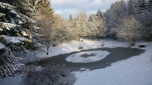 Bed & Breakfast Zimmer Mit Teichblick