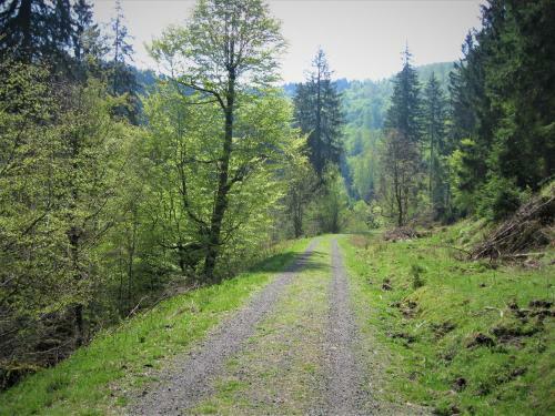 Apartamento Ferienwohnung 2 Am Berg 18a