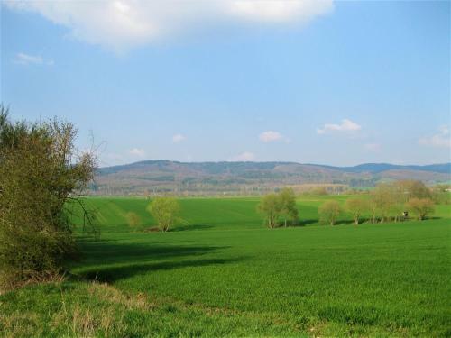 Apartamento Ferienwohnung 2 Am Berg 18a