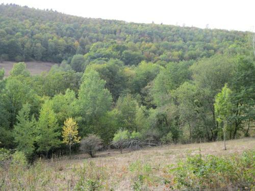 Apartamento Ferienwohnung 2 Am Berg 18a