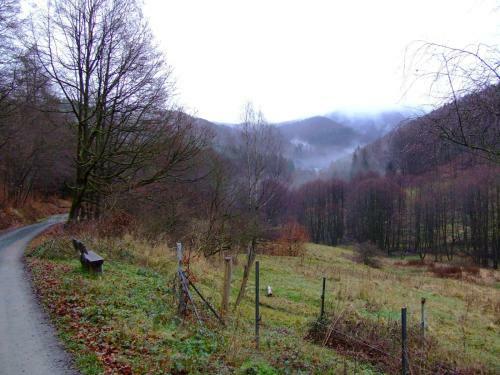 Apartamento Ferienwohnung Damk�hler