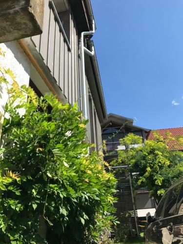 Apartamento Blackbird�s Nest