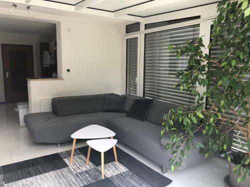 Apartamento Ferienwohnung Janson-2
