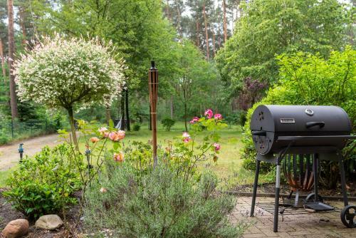 Ferienhaus Im Gr�nen