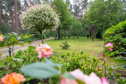 Ferienhaus Im Gr�nen