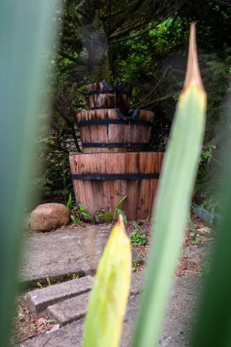 Ferienhaus Im Gr�nen