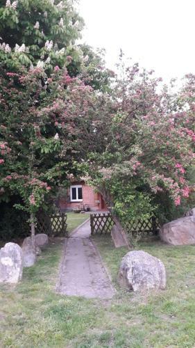 Apartamento Ferienhof Steinbruch