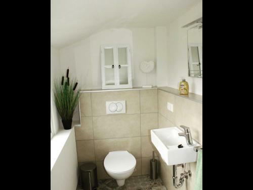 Neu Ferienhaus Am Moor