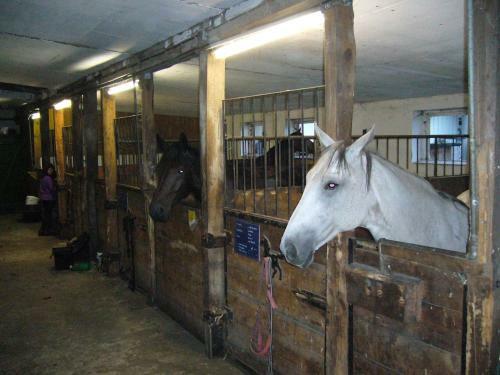 Ferienhof Drewes Ranch