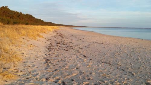 Ostseehaus Lea Doppelhaush�lfte