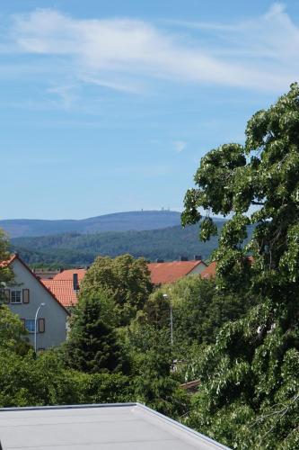 Apartamento Ferienhaus Hundertmorgenfeld 33