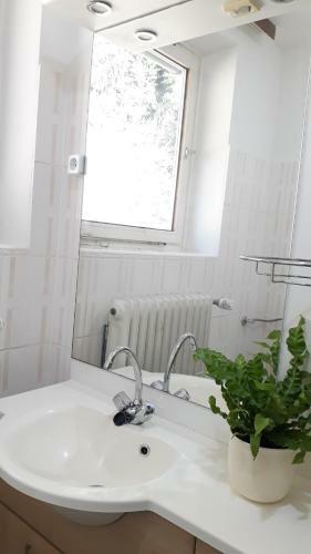 Haus Mena Apartments