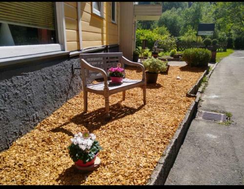 Apartamento Alte Muehle Fewo Renate