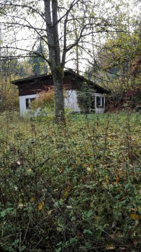 Bei Der Grossen Linde