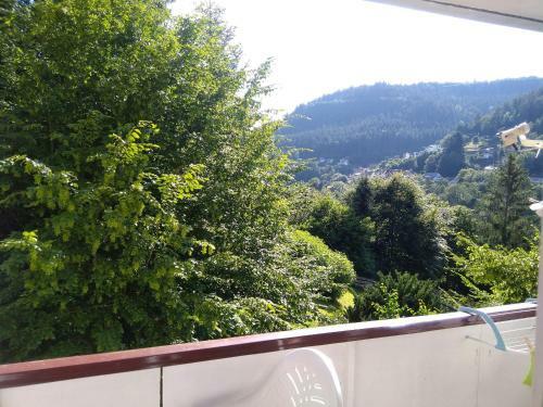 Apartamento Ferienwohnung Tannenwald