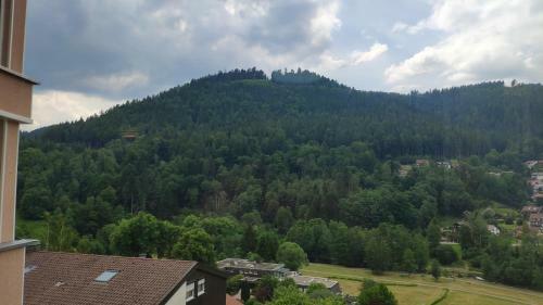 Apartamento Wildbadferien De