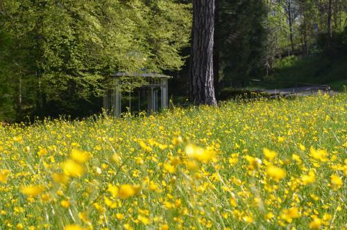 Apartamento Ferienwohnung Am Kurpark