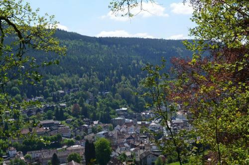 Apartamento Ferienwohnung Am Kurpark