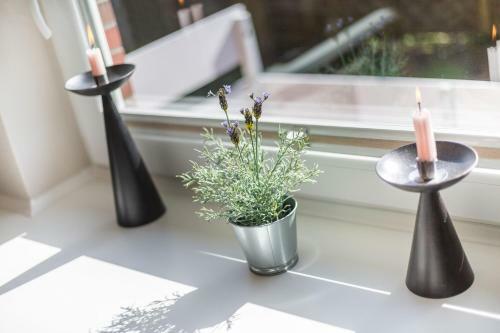 Apartamento Appartement Heidekamp Eg