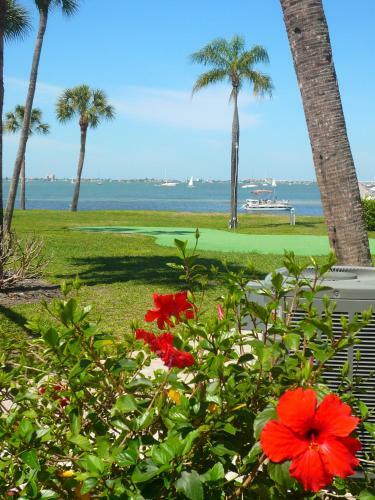 Bermuda Bay Beach Club