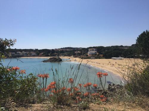 Apartamento Laura La Fosca