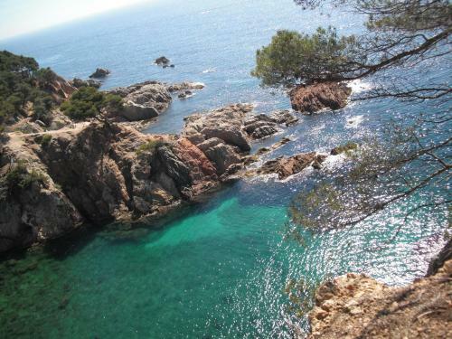 Apartamento Laura La Fosca