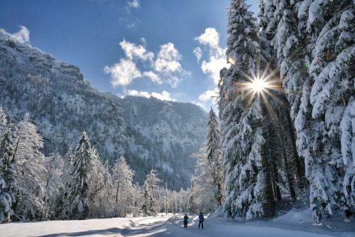 Landhotel Binderh�usl